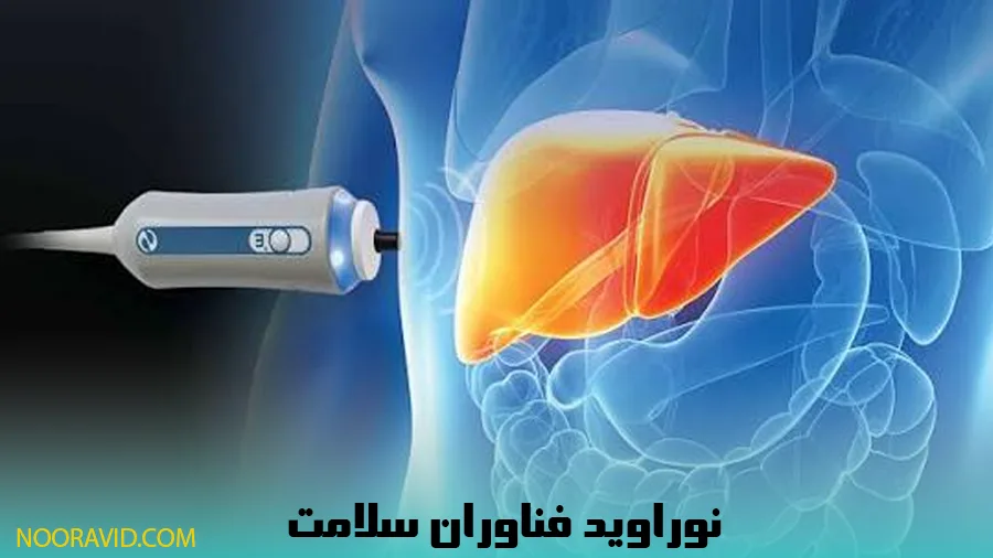 نمای داخل بدن از انجام الاستوگرافی کبد